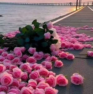 Meet your Posher, Samira